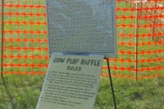 Where will the cow plop? That is the question