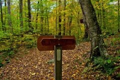 Long Trail