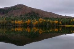 1026221309_HDR