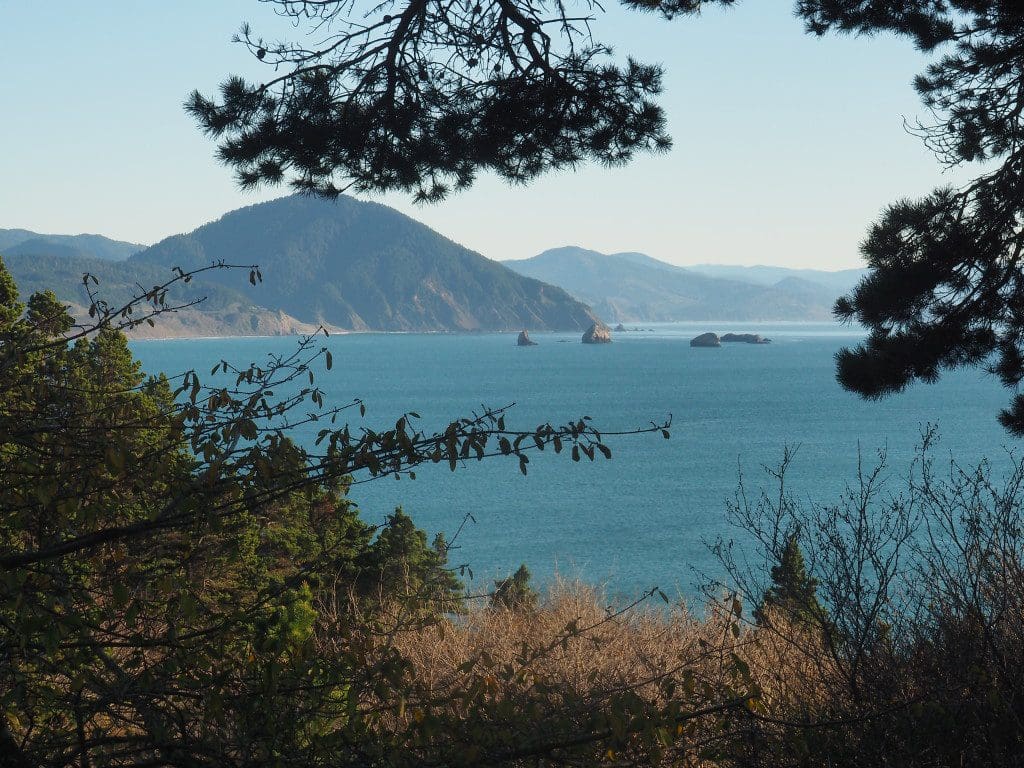 View from Port Orford Head