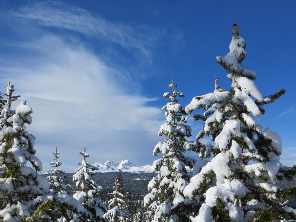 Winter in the Cascade Range