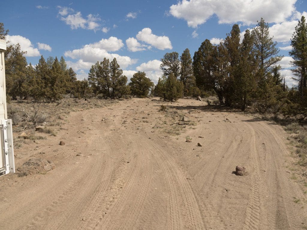 Be sure to stay on the "road" when visiting the Lost Forest