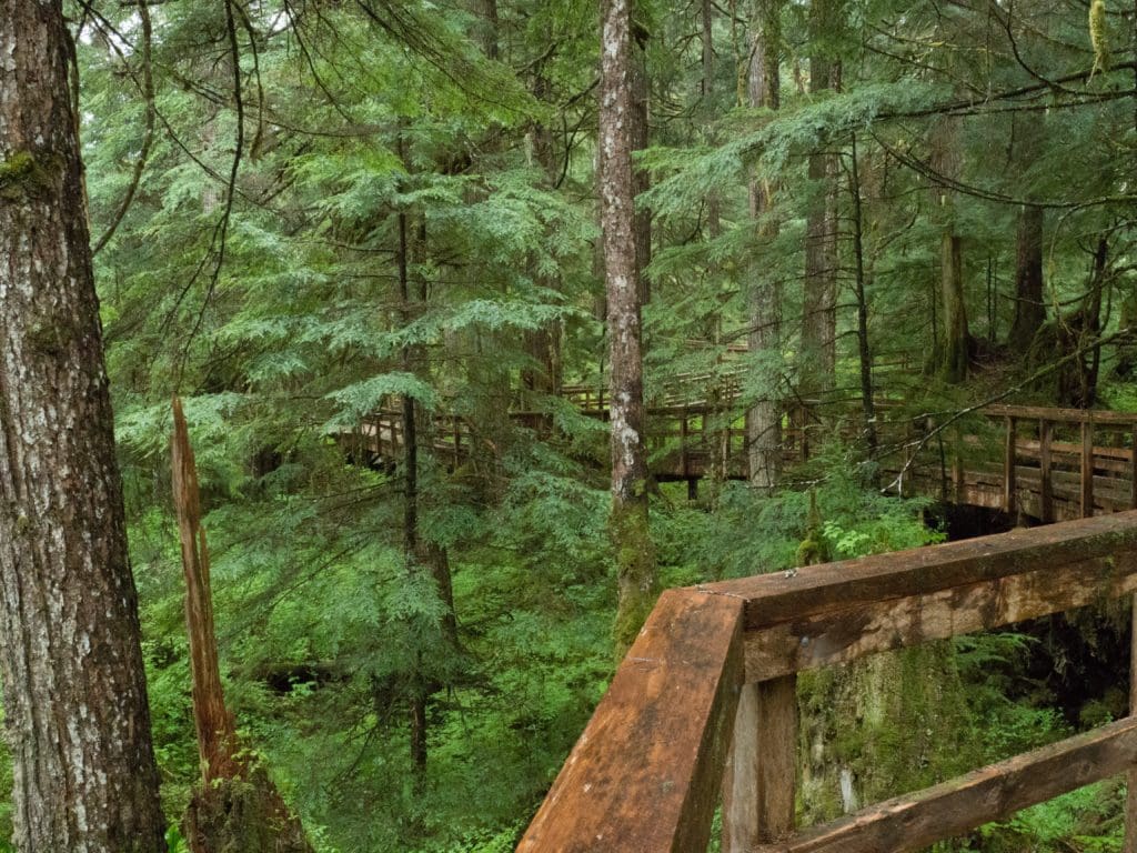 Walkway over underground caves.