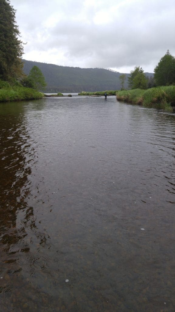 Luck Creek flowing into Luck Lake