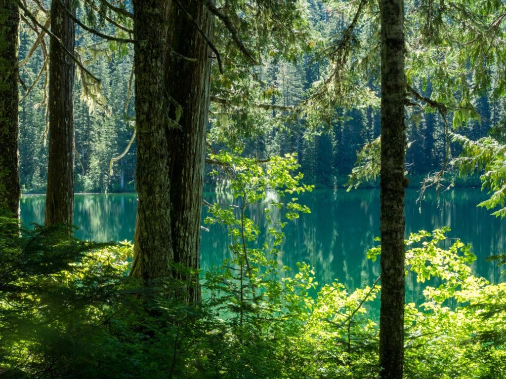 Opal Lake