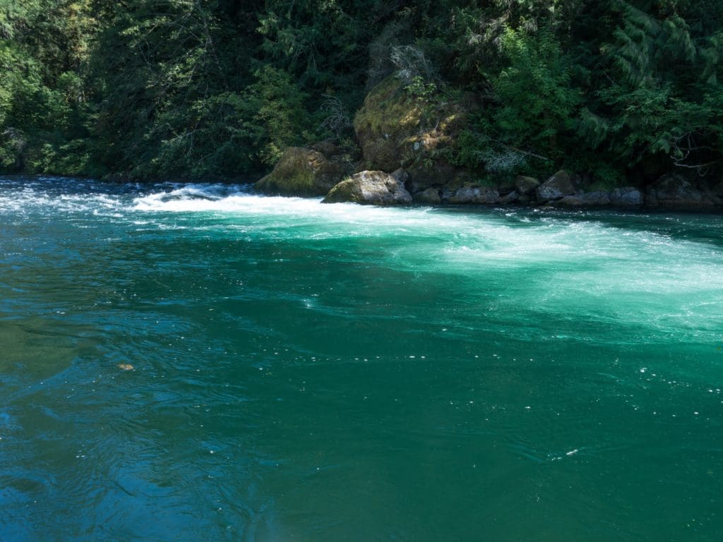 McKenzie River Oregon