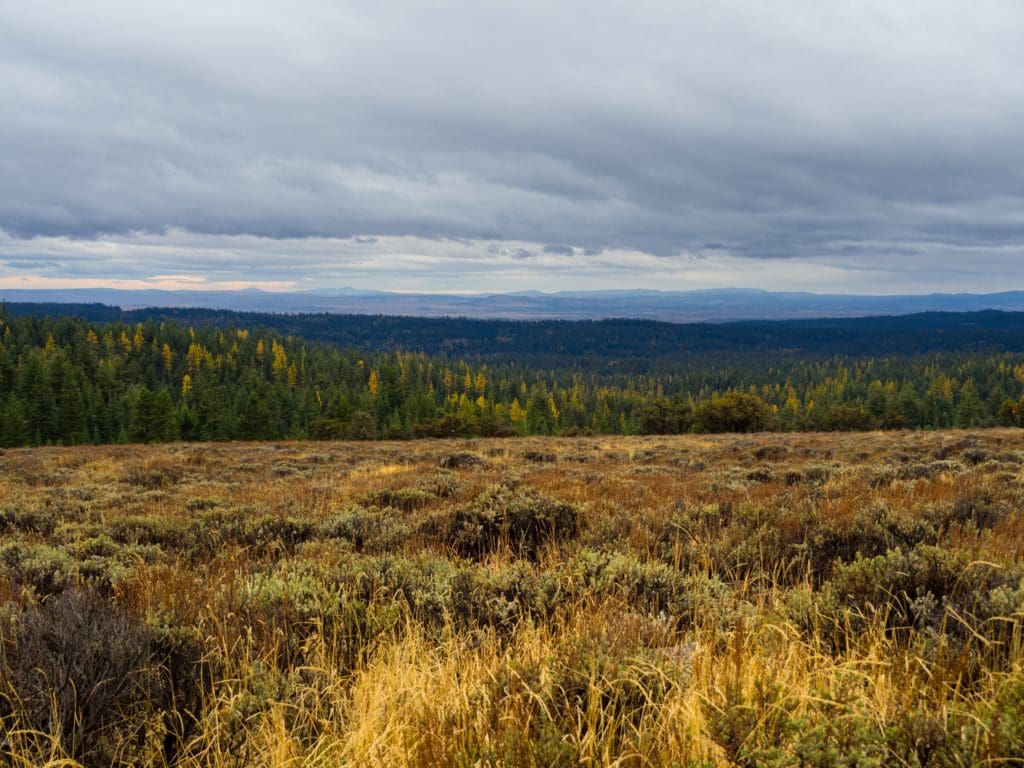 Serene Ochoco Fall View