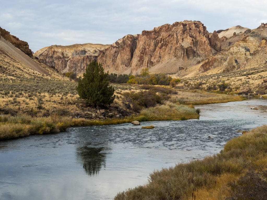 Owyhee River at Birch Creek