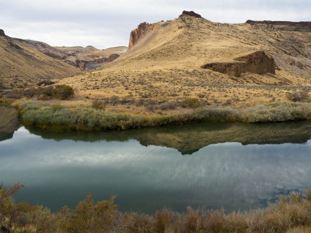 Owyhee River at Birch Creek Ranch