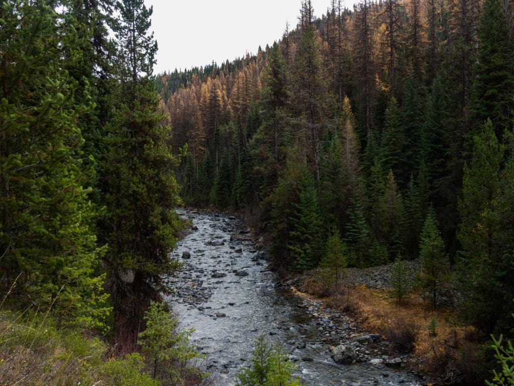 North Fork John Day