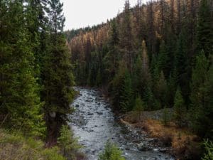 Read more about the article North Fork John Day, October 2016