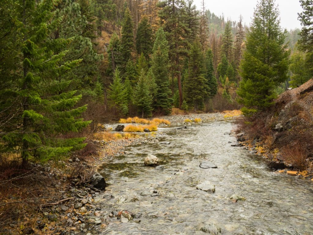 Granite Creek Confluence