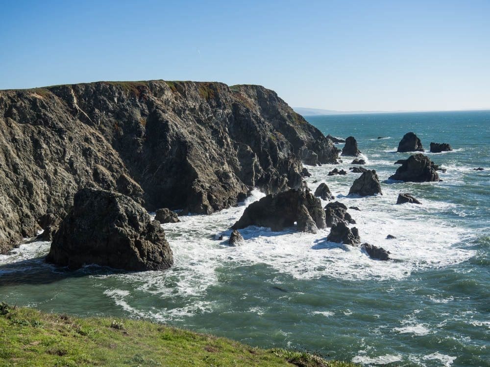 Bodega Head