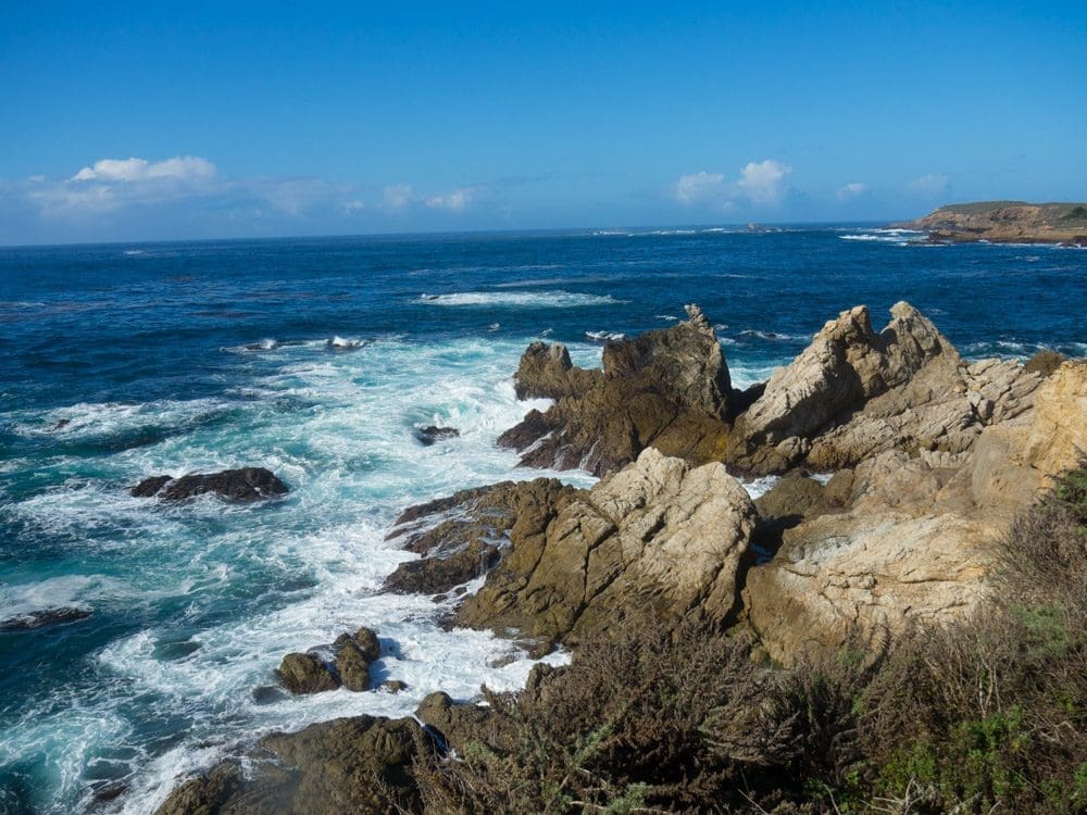 Point Lobos State Park