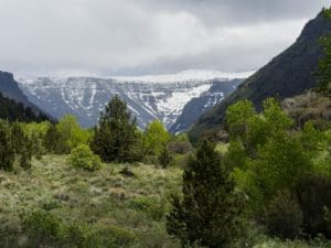 Read more about the article Steens Mountain, 2017