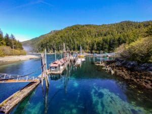 Read more about the article Southeast Alaska, 2018, Part 3