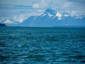 Read more about the article Southeast Alaska, 2018, Part 1