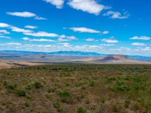 Read more about the article Wandering the Trout Creek Mountains, 2018