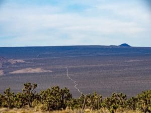 Read more about the article Mojave Trail, 2018