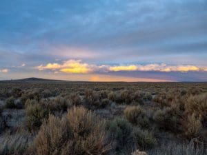 Read more about the article Journey to the Sagebrush Sea