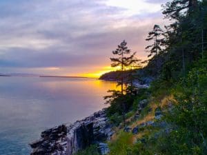 Read more about the article Sunshine Coast, B.C., 2019, Part 2