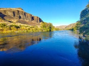 Read more about the article Fall on the Deschutes River, 2019