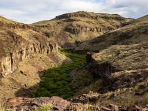 Read more about the article Owyhee Uplands, 2020, Part 2