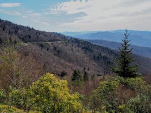 Read more about the article From the Smokies to Shenandoah