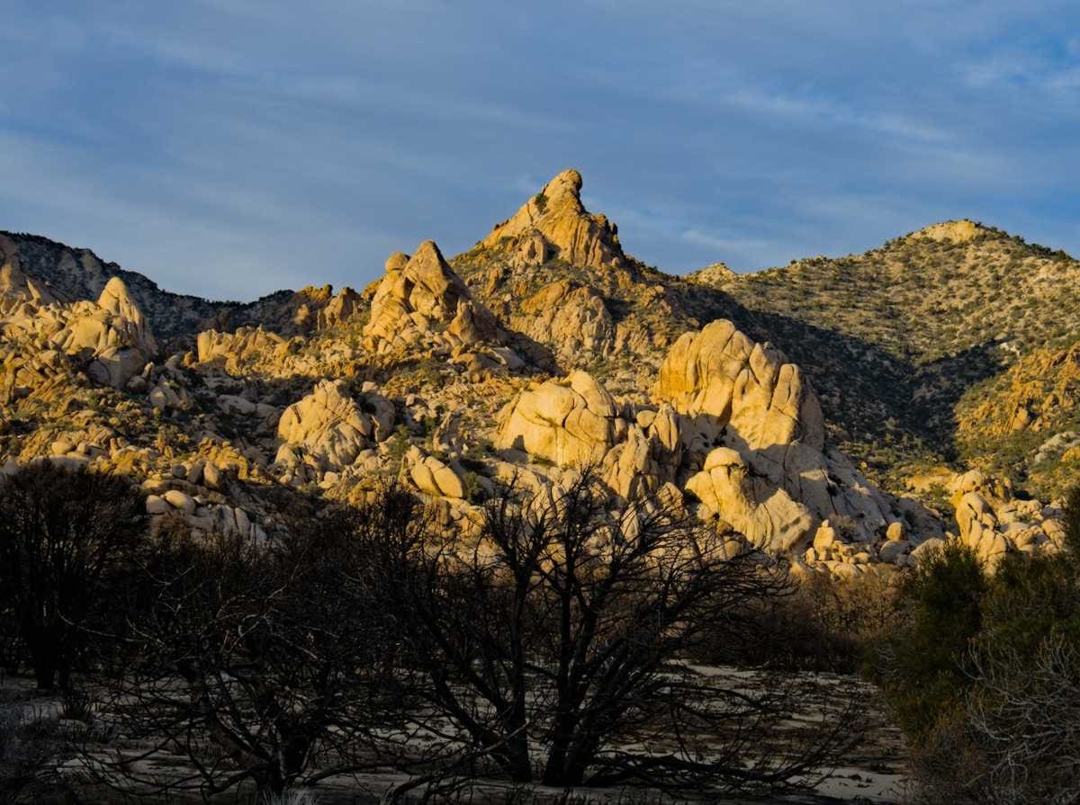 Read more about the article South to Spring | Mojave National Preserve Part 1: Caruthers Canyon