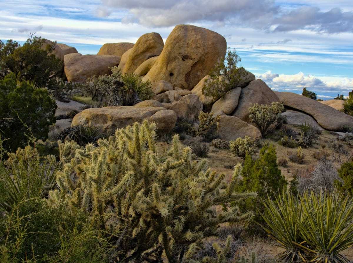 Read more about the article South to Spring | Mojave National Preserve Part 2: Hole in the Wall