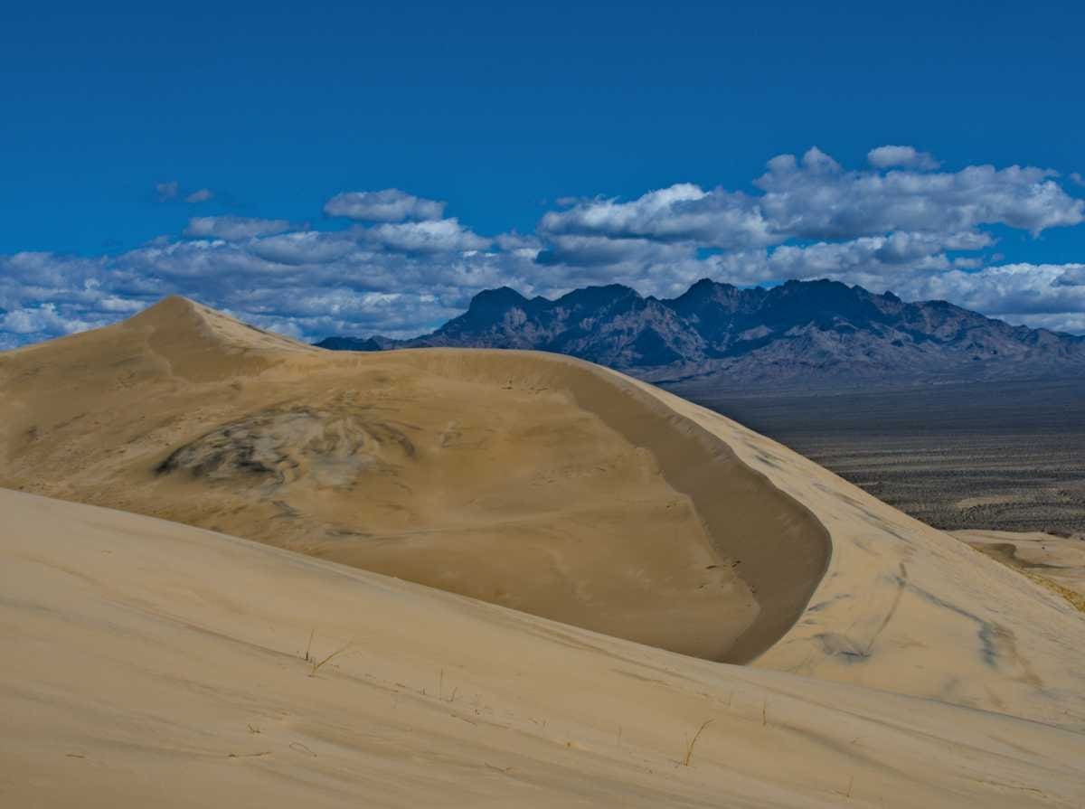 Read more about the article South to Spring | Mojave National Preserve Part 3: Kelso Dunes