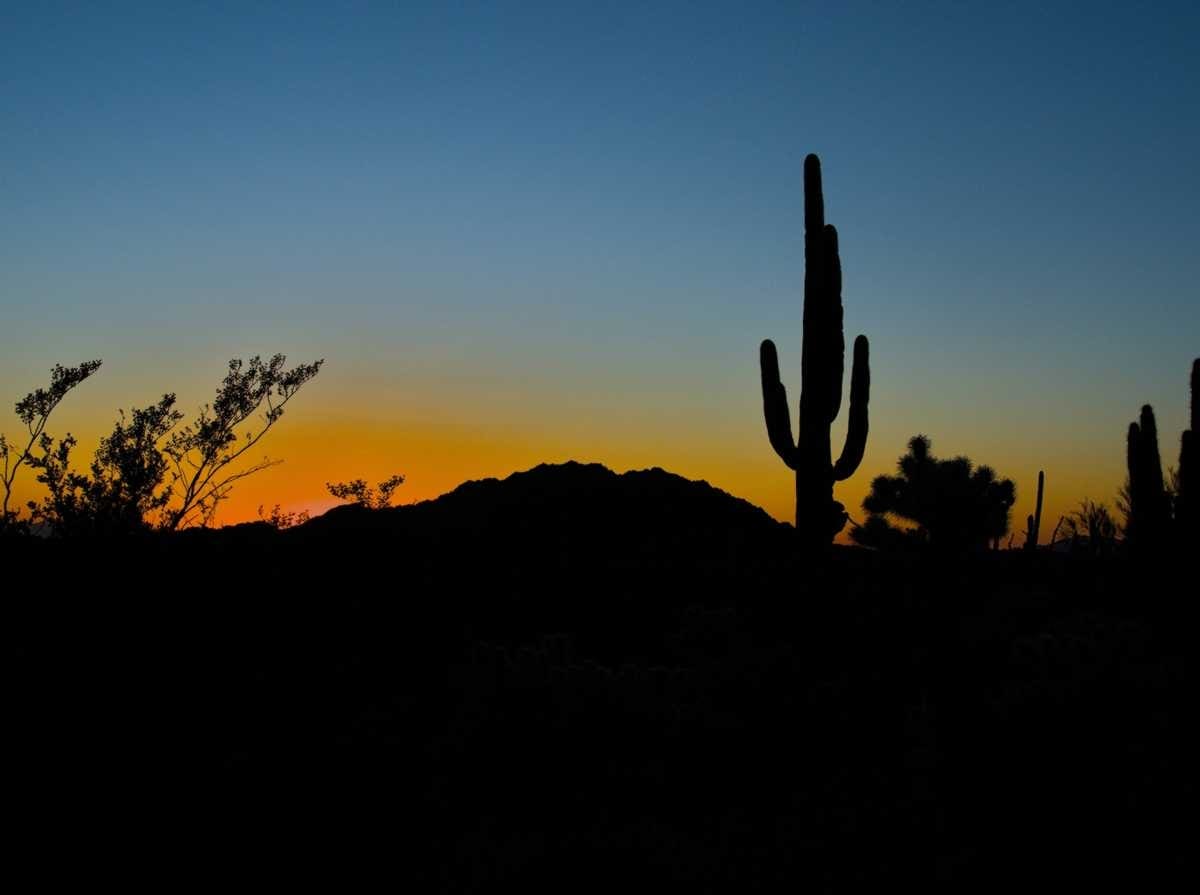 Read more about the article Video: Escape to Organ Pipe | South to Spring Episode 5