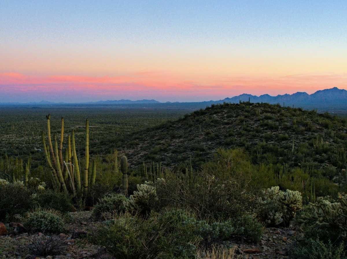 Read more about the article South to Spring | Organ Pipe Part 2