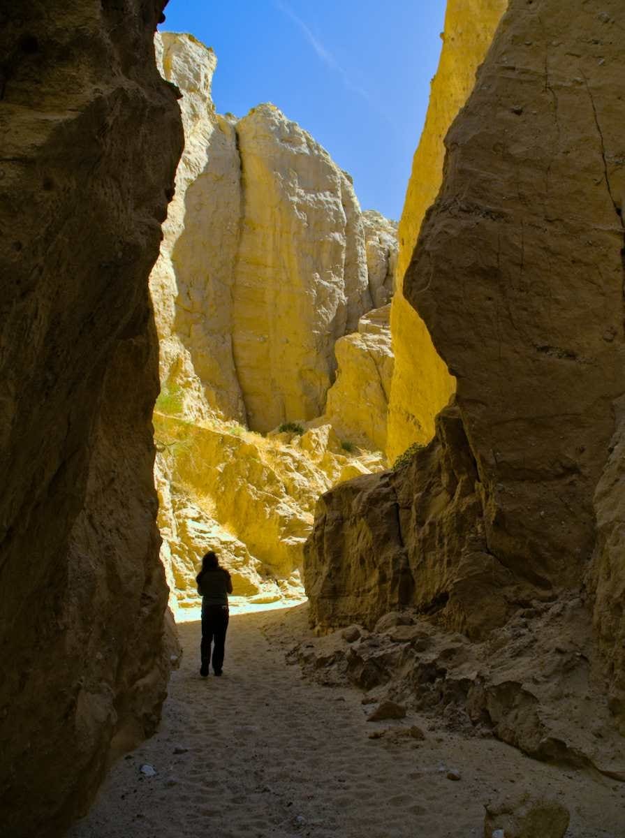 Read more about the article Video: Wildflowers and Washes of Anza Borrego | South to Spring Episode 6