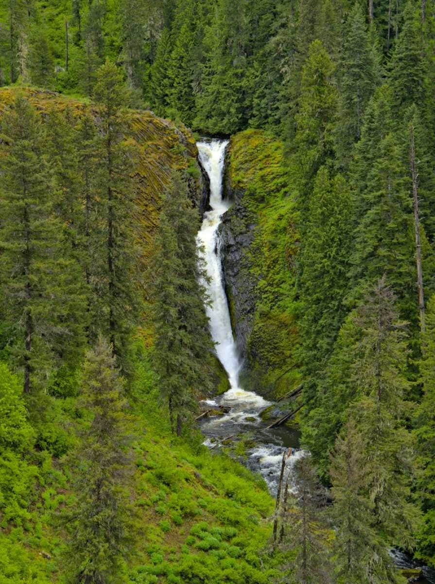 Read more about the article Elk Creek Falls and McCroskey State Park