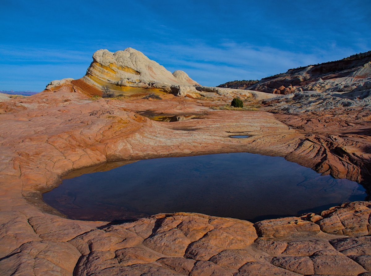 Read more about the article White Pocket, Arizona